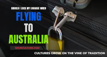 Keep Your Luggage Secure: Should You Lock It?