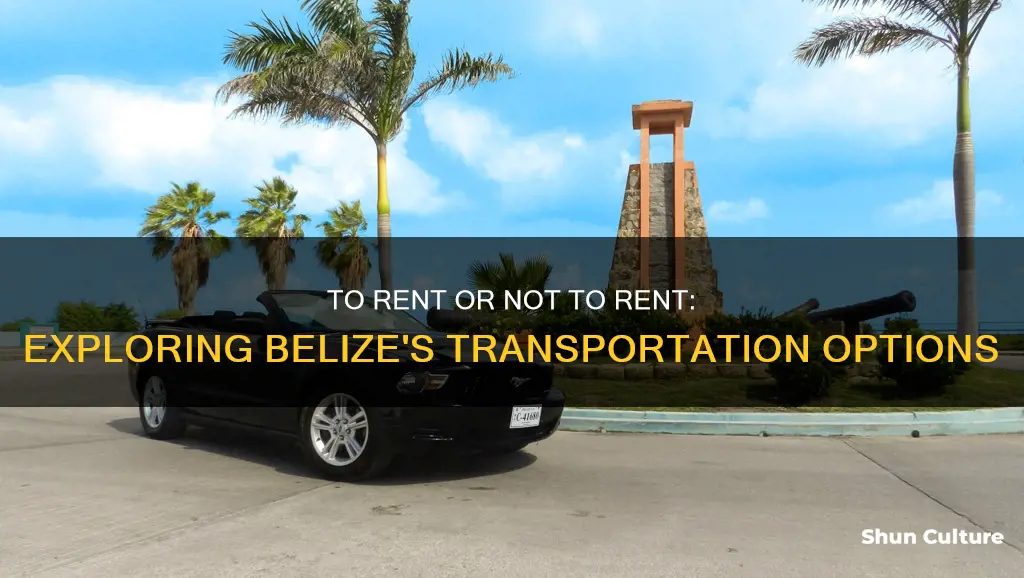 should I renr a car in belize