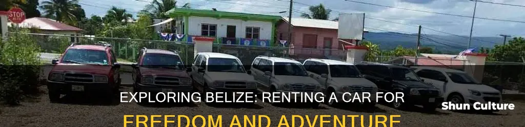 should I rent a car in belize