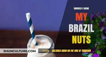 Should You Soak Brazil Nuts? Benefits and Best Practices Explained