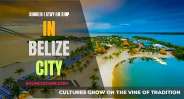 Belize City: To Shore or Not to Shore?