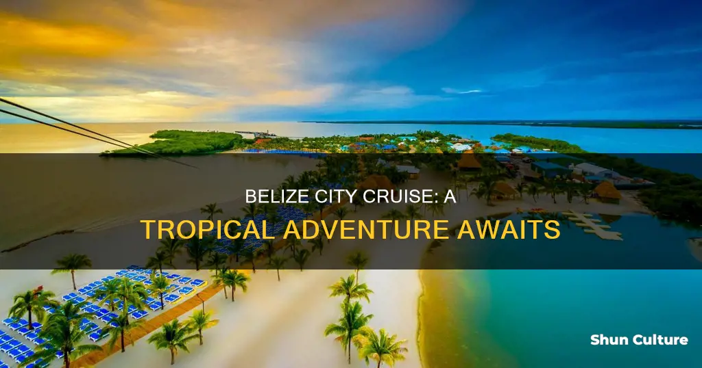 should I take a cruise to belize city