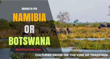 Namibia vs. Botswana: Which African Safari Destination Suits You Best?