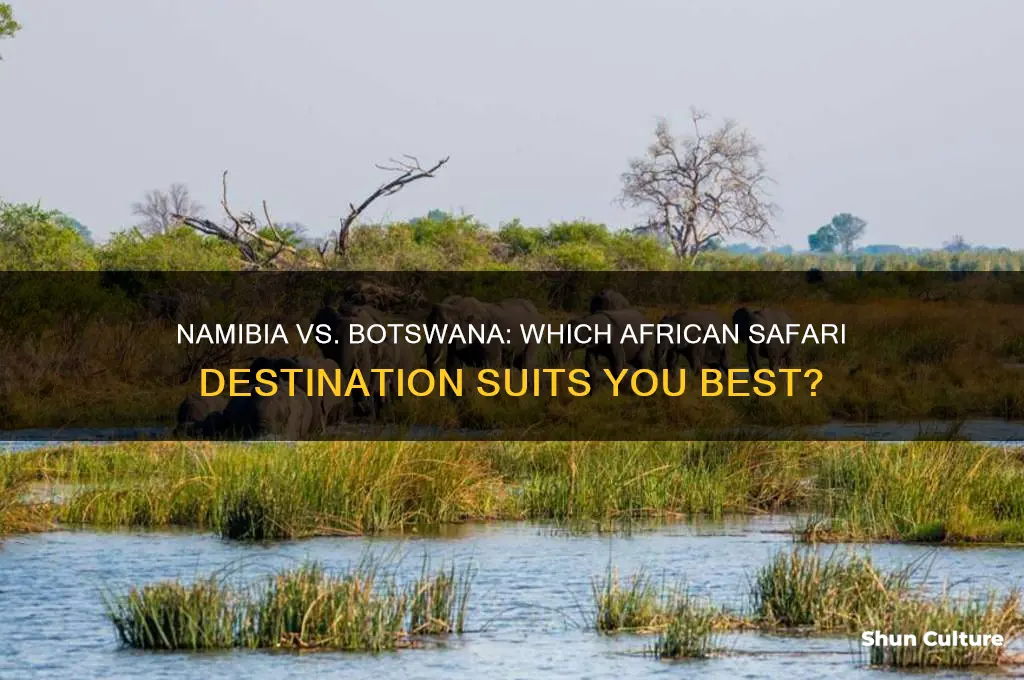 should ig oto namibia or botswana