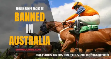 Jumps Racing: Australia's Ethical Dilemma