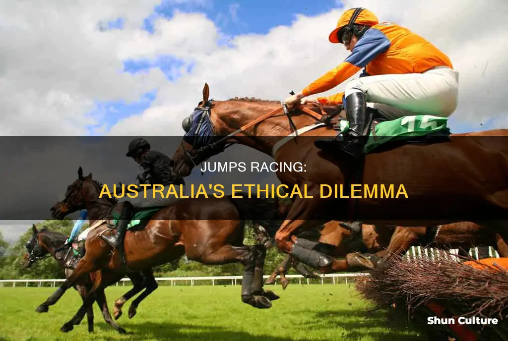 should jumps racing be banned in australia