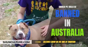 Pit Bulls: Australia's Ban Debate
