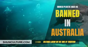 Plastic Bags: Australia's Ban Debate