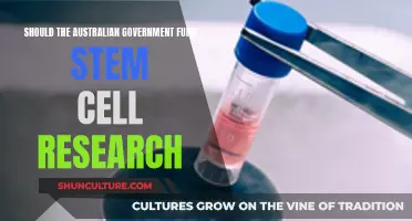 Stem Cell Research: Australia's Funding Future?