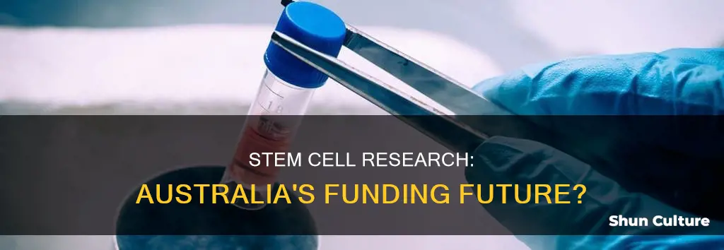 should the australian government fund stem cell research