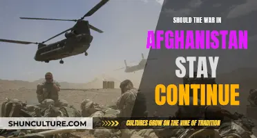 The Lingering Conflict: Evaluating the Pros and Cons of Continuing the War in Afghanistan