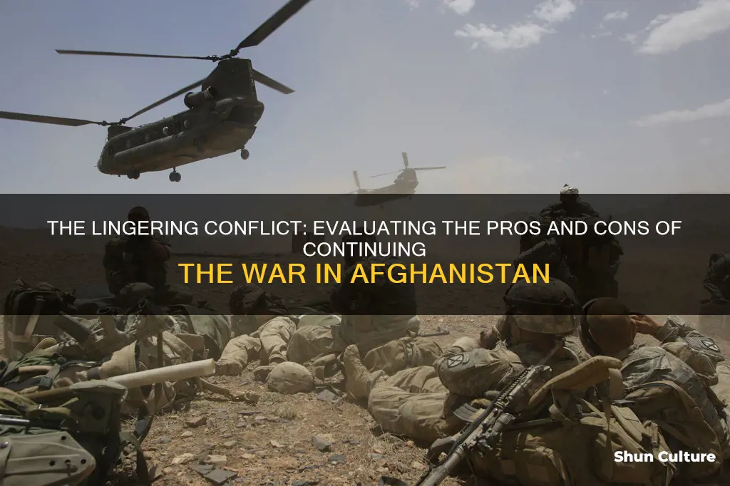 should the war in afghanistan stay continue