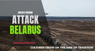 Ukraine's Offensive: Should Belarus Be Next?