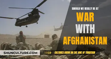 The Fog of War: Reassessing the Afghan Conflict