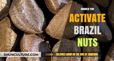 Should You Activate Brazil Nuts? Benefits, Methods, and Nutritional Impact