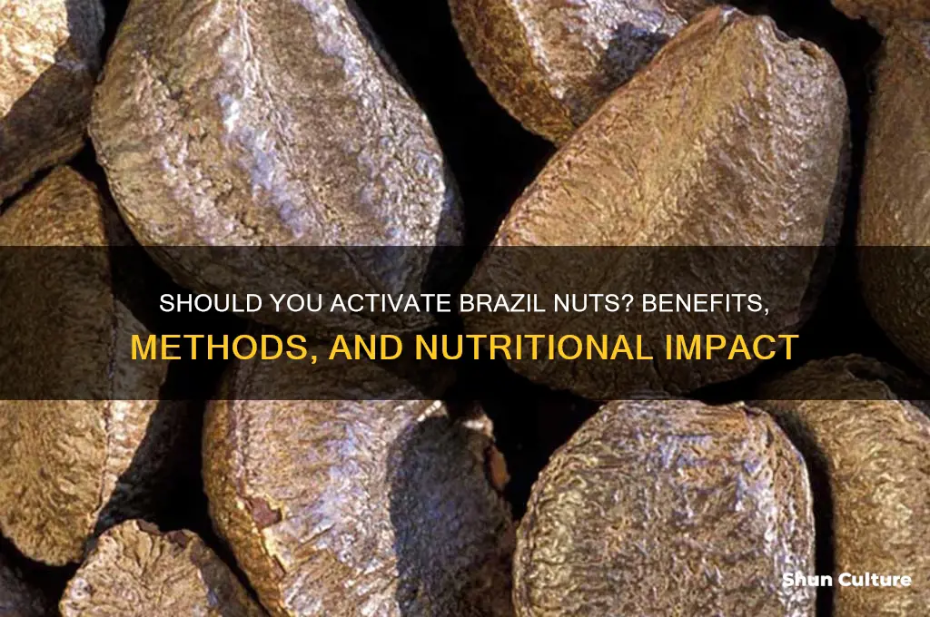 should you activate brazil nuts