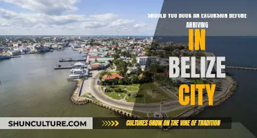 Belize City Excursions: Book Before You Arrive or Wing It?