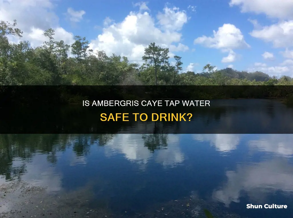 should you drink tap water in ambergris caye belize