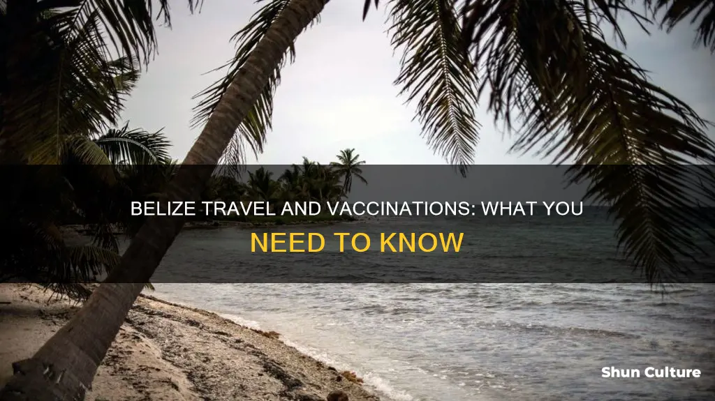 should you get vacinated before traveling to belize