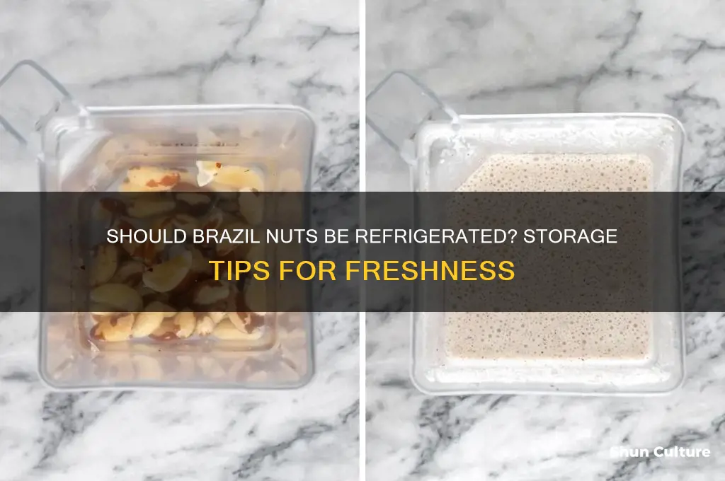 should you keep brazil nuts in the fridge