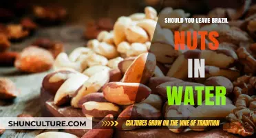 Should You Soak Brazil Nuts? Benefits and Risks Explained