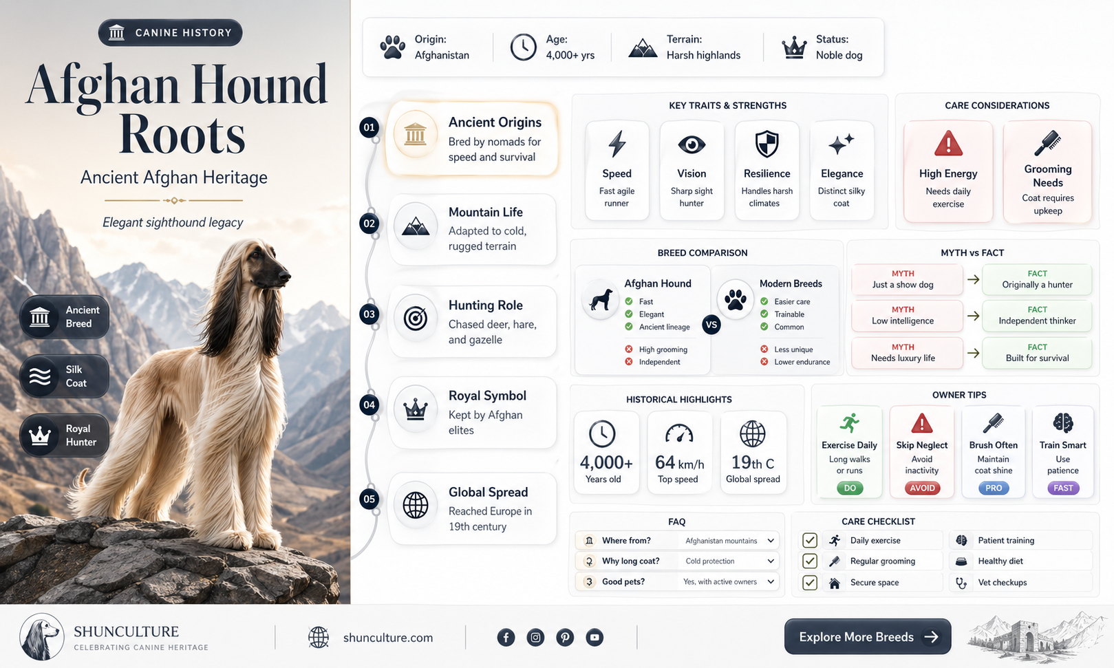 are afghan dogs from afghanistan