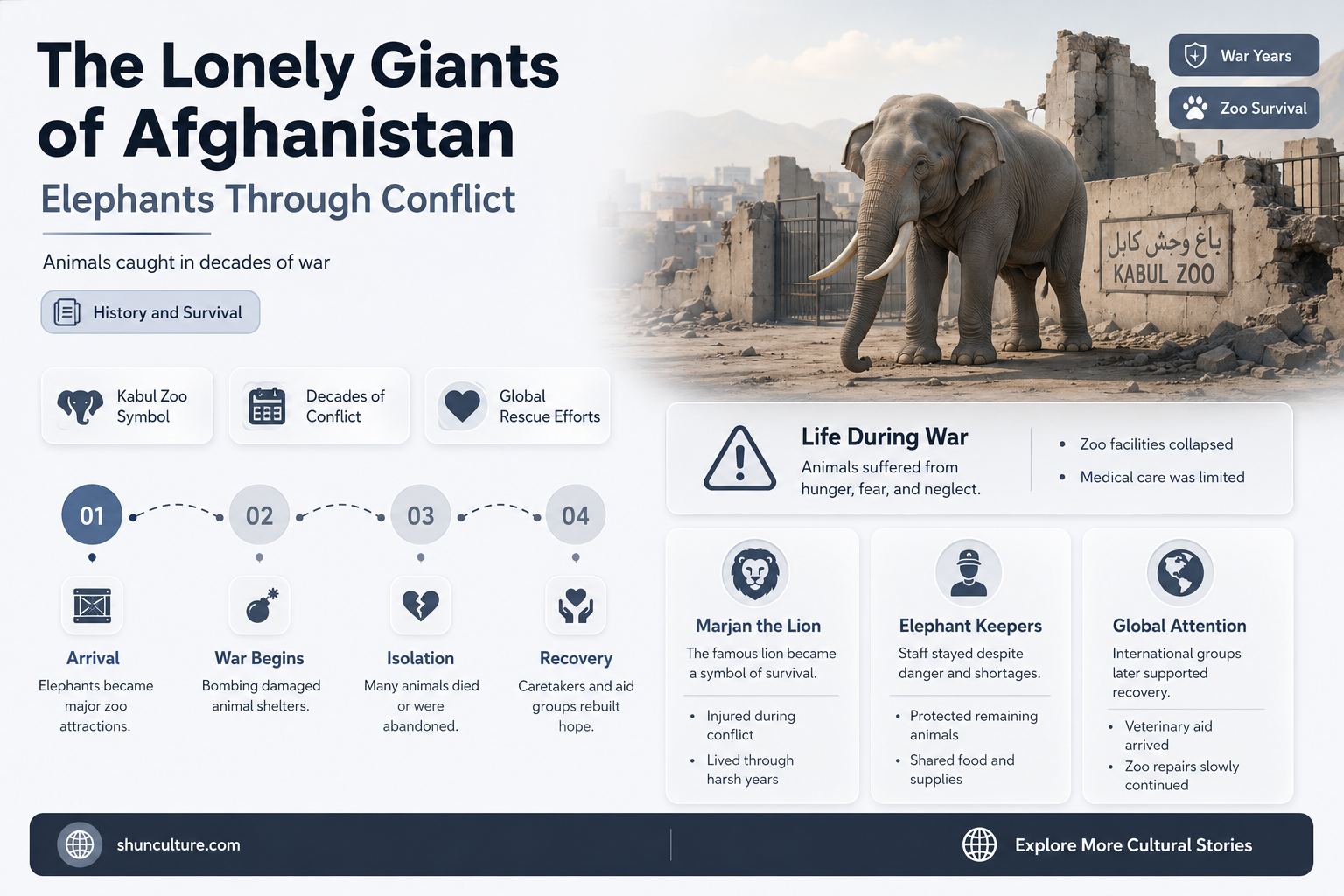 are elephants in afghanistan