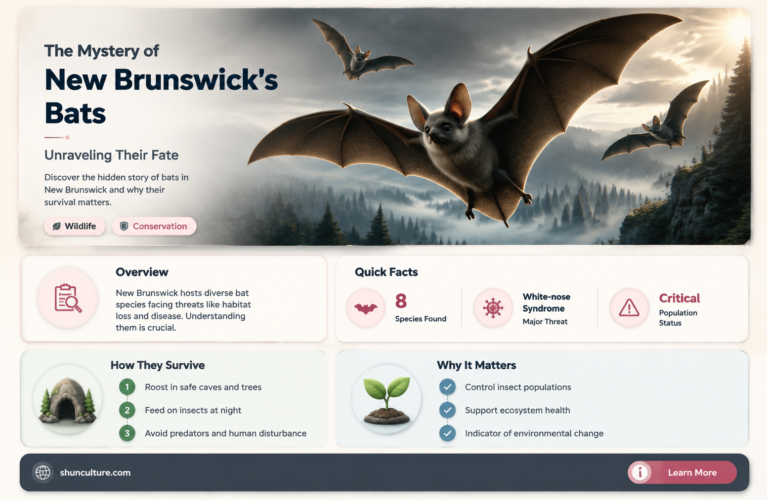 are bats extinct in new brunswick