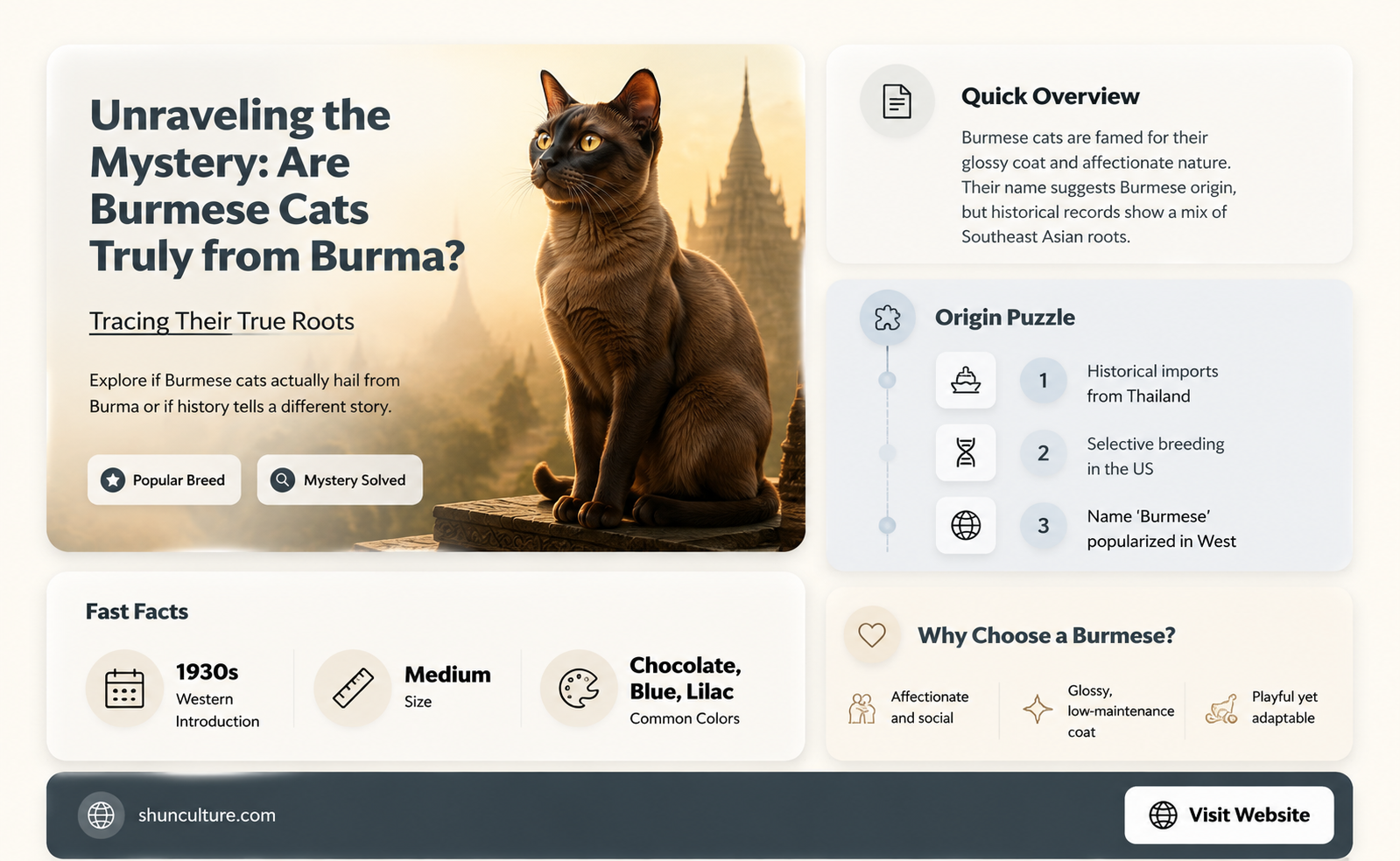 are burmese cats from burma