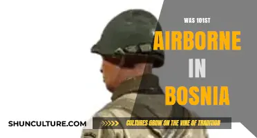 101st Airborne's Role and Impact During the Bosnia Deployment