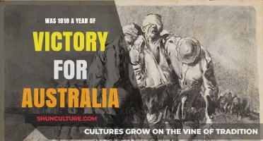 Australia's 1918: A Year of Triumph or Transitional Victory?