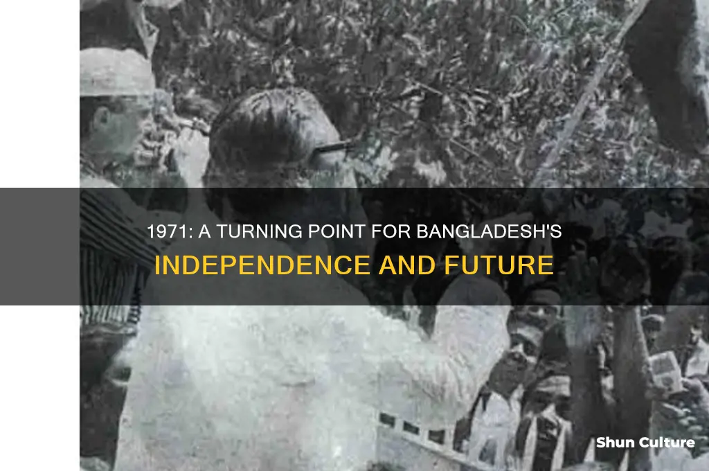 was 1971 good for bangladesh