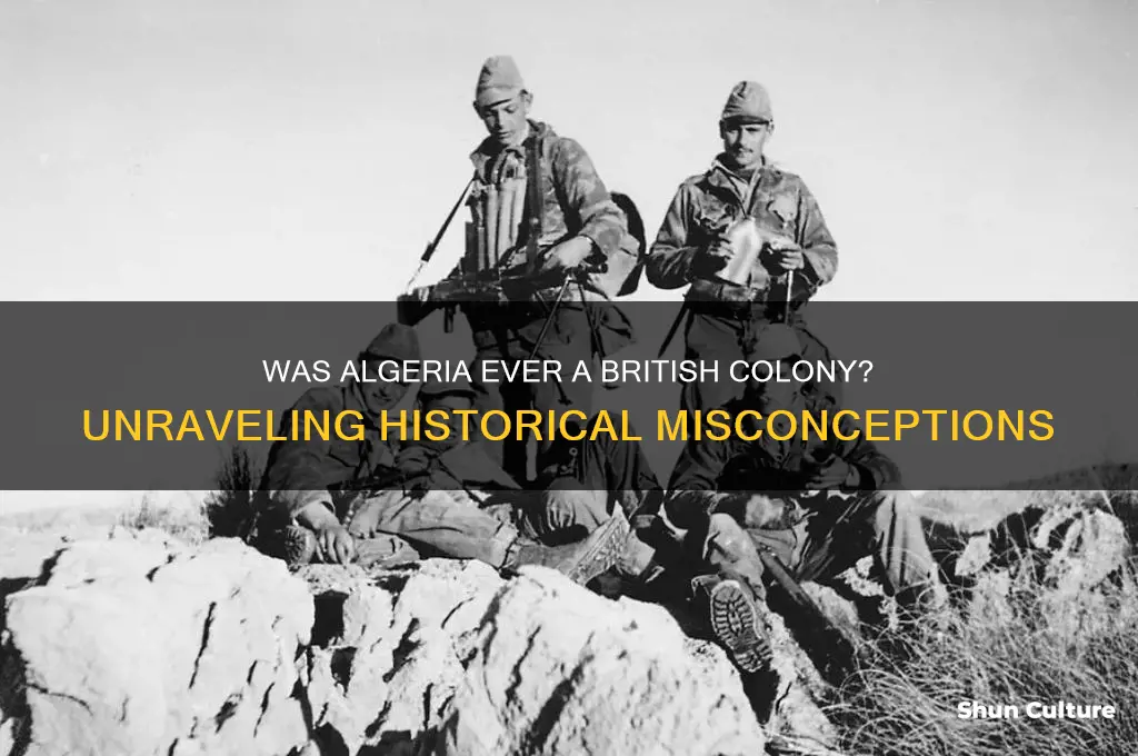 was algeria a british colony