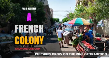 Was Algeria a French Colony? Unraveling the Historical Ties and Impact