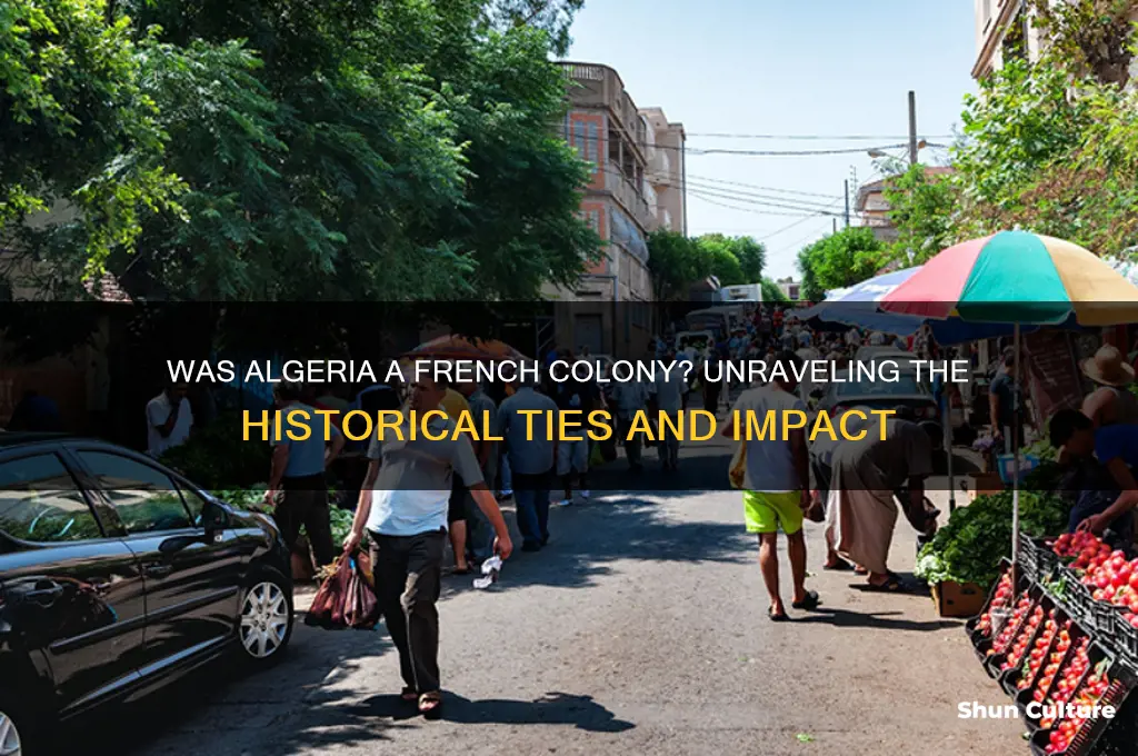 was algeria a french colony