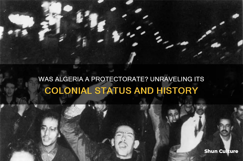 was algeria a protectorate