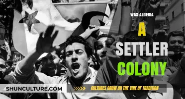 Was Algeria a Settler Colony? Unraveling the Historical Narrative