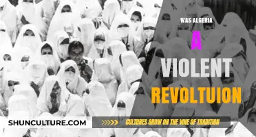 Algeria's Revolution: A Brutal Struggle for Independence and Freedom