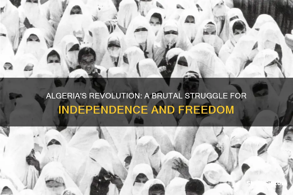 was algeria a violent revoltuion