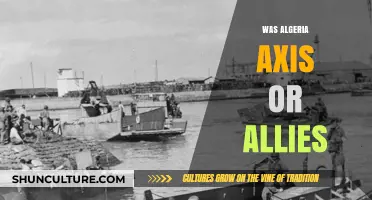 Algeria's WWII Role: Axis or Allies Explained