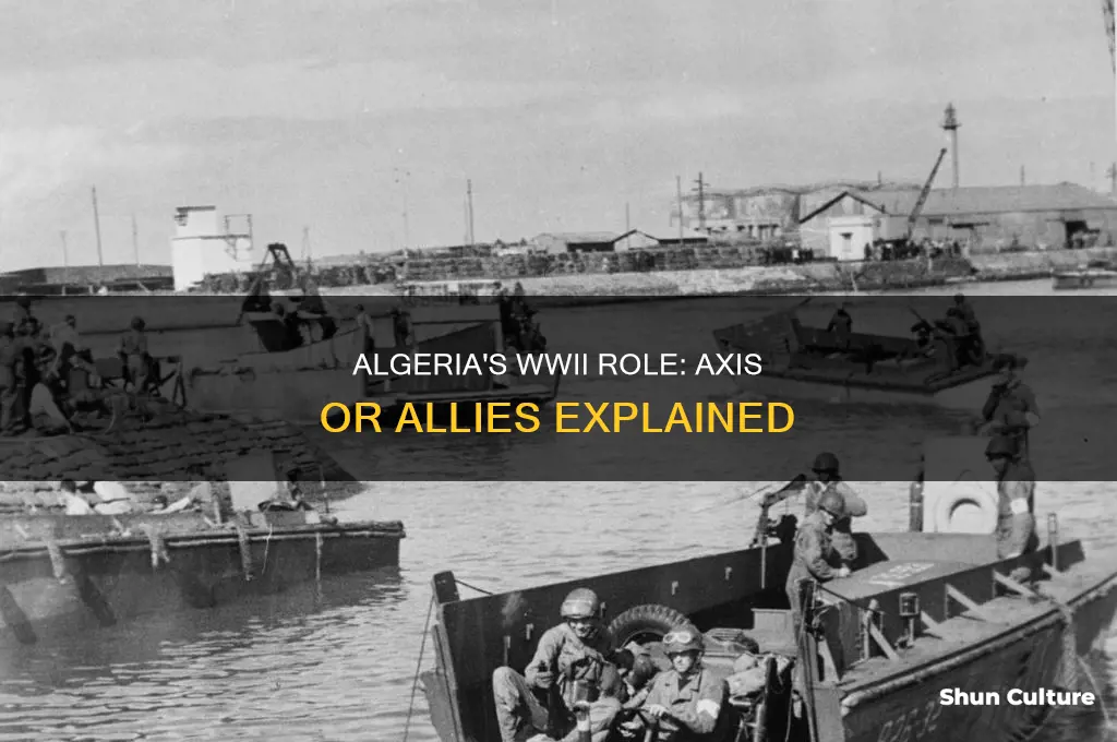 was algeria axis or allies