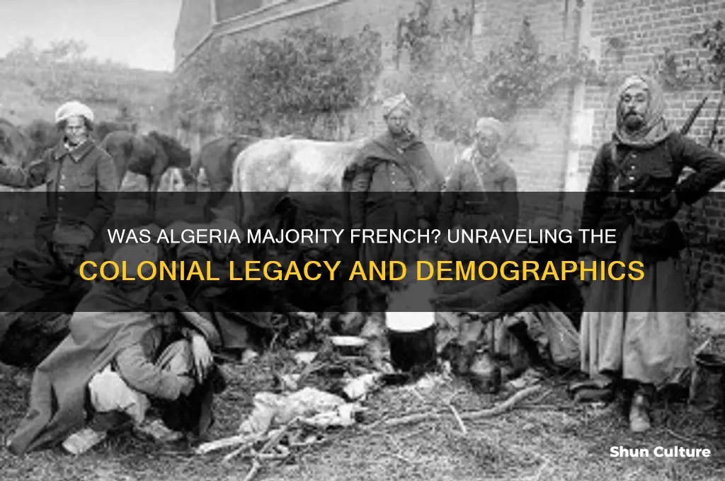 was algeria majority french