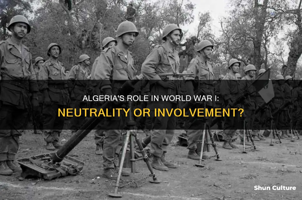 was algeria neutral in ww1