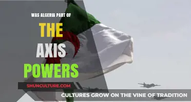 Algeria and the Axis Powers: Historical Role and Allegiances Explored