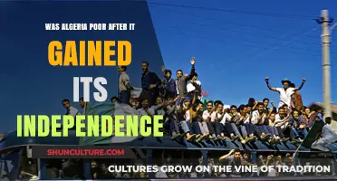 Algeria's Post-Independence Economy: Struggles, Challenges, and Recovery