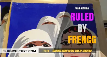 Algeria's French Colonial Rule: History, Impact, and Legacy Explored