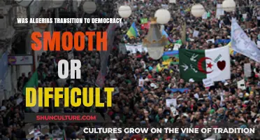 Algeria's Democratic Transition: A Smooth Path or Rocky Road?