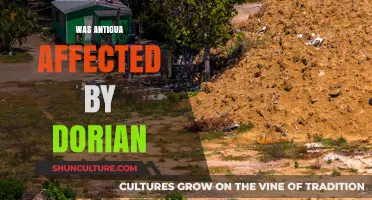Dorian's Impact: How Antigua Fared During the Hurricane
