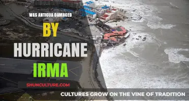 Hurricane Irma's Impact: Assessing the Damage in Antigua