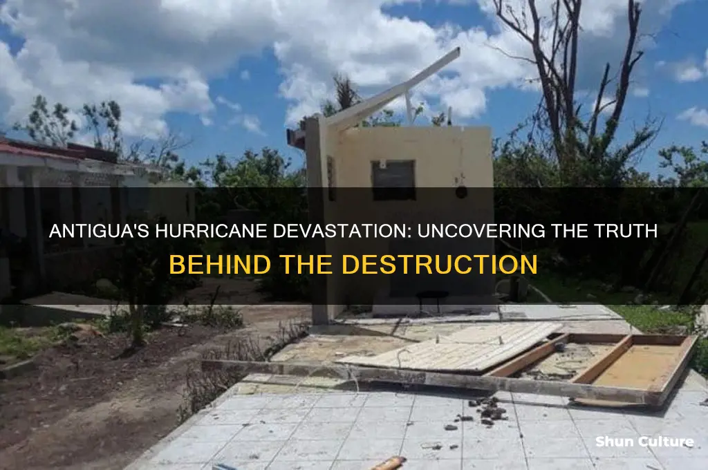 was antigua destroyed by the hurricane